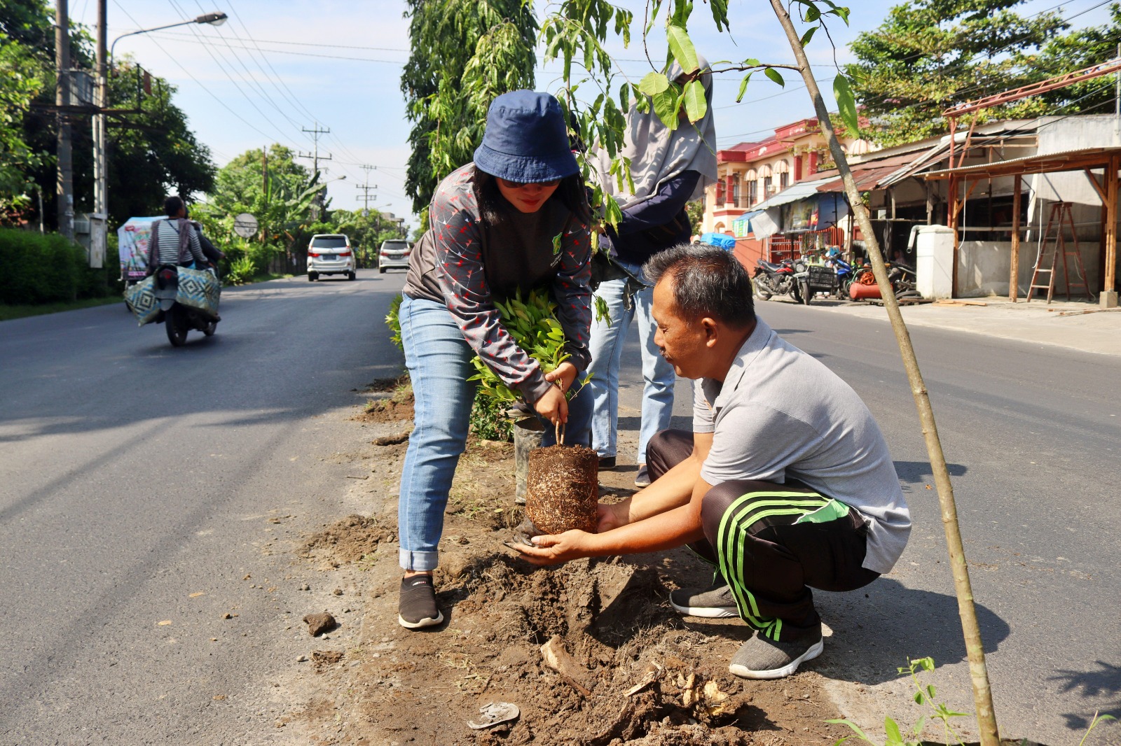 Tingkatkan Keindahan, kel simpang selayang Tanam Bibit Puvuk Merah dan Glodokan di Pulau Jalan